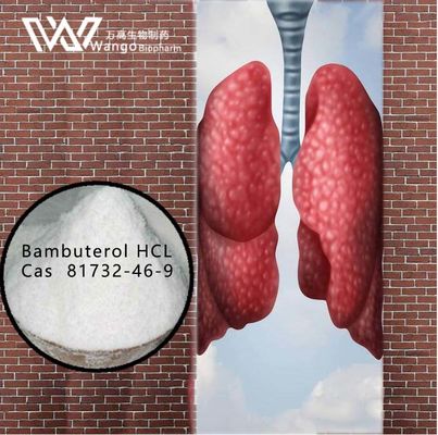 Αντι ασθματικοί πράκτορες 81732-46-9 HCL 99% Bambuterol για τη βρογχική επεξεργασία άσθματος
