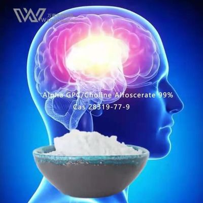 Μαζικές σκόνες Nootropics HPLC, άλφα ακετυλοχολίνη 28319-77-9 Gpc
